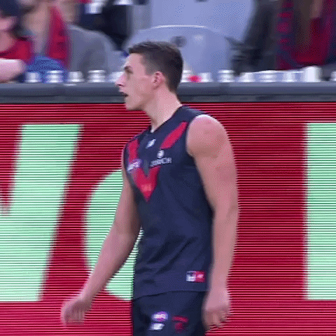 come on yes GIF by Melbournefc