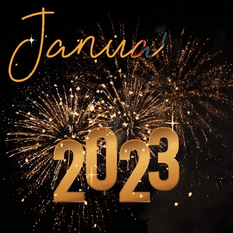 Happy New Year Fireworks GIF by Maria Johnsen