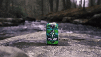 AppalachianMountainBrewery craft beer ipa amb mountain life GIF