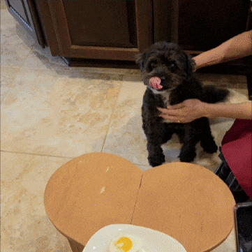 Casper GIF