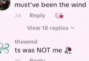 The Wind Ts GIF