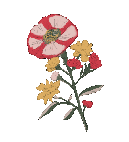Flower Blooming Sticker by TALIA CU