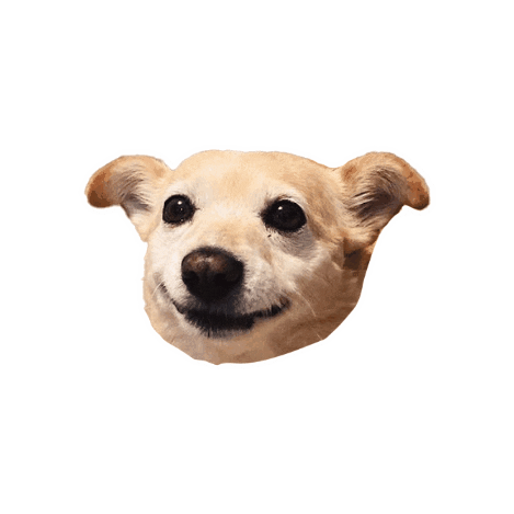 Cute Dog Smile Sticker by Psitwór