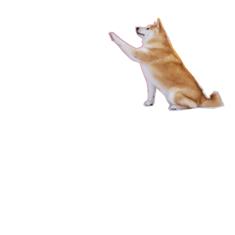 pet na tigela Sticker