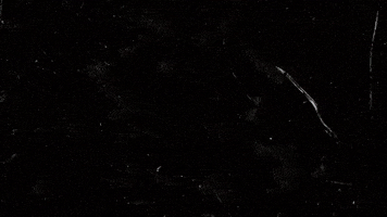 GIF by Rose Stallard