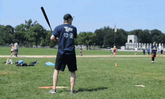 softball homerun GIF by DC Fray