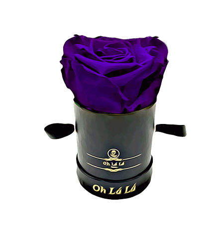 Flowers Love Sticker by Oh La La Roses