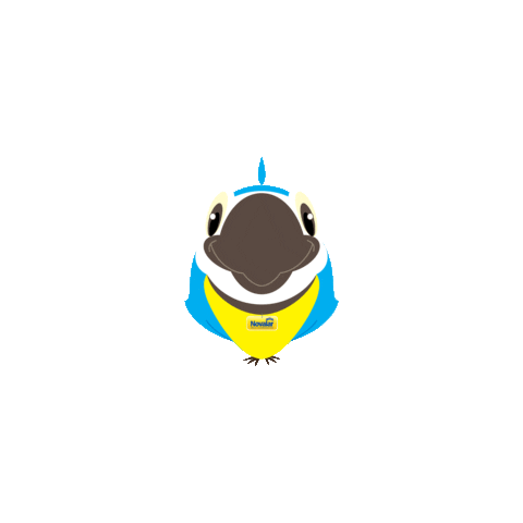 Novalino Ok Sticker by Novalar
