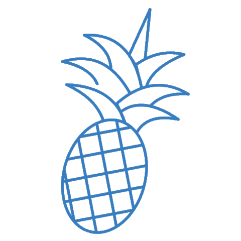 Macaw Brasil Sticker