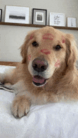 Valentines Day Love GIF by Finley