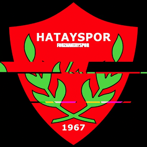 hatayspor GIF
