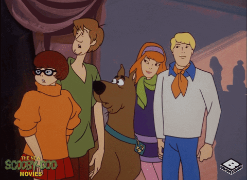Scooby Doo What GIF by Boomerang Official