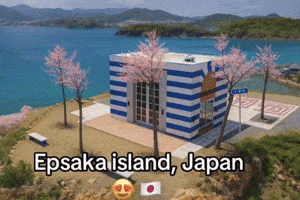Donald Trump Japan GIF