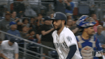 hr celebrates GIF by MLB