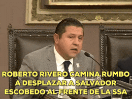 lizgv  GIF