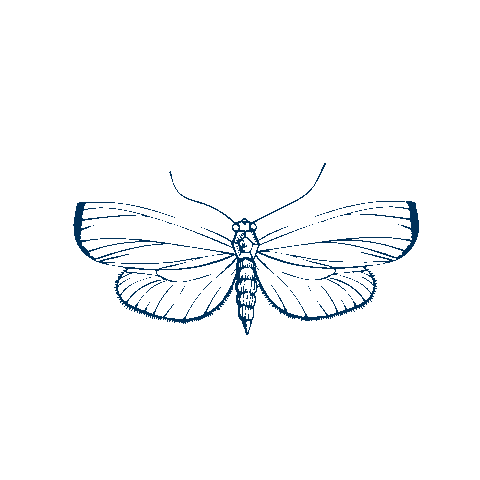 NightingalebyBeefbar Sticker