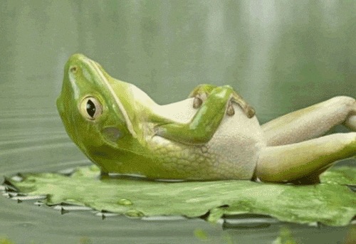 Relax GIFs - Get the best gif on GIFER