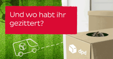 GIF by DPD Deutschland
