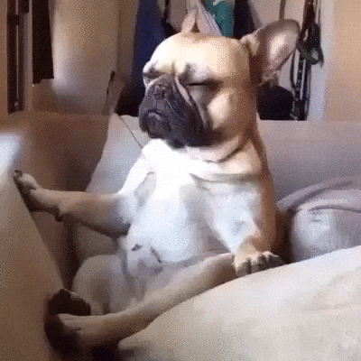 Relaxed Puppy GIF