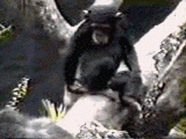planet of the apes lol GIF