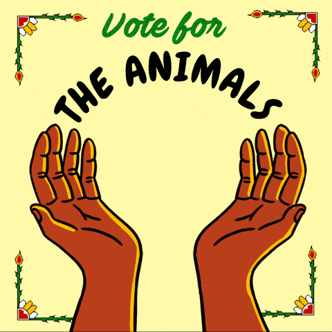 Vote for the animals, earth, waters, land Ojibwe