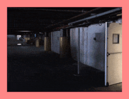 Fido Fid0 GIF