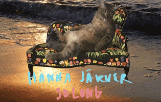 Jarver Jã¤Rver GIF by Hanna Järver