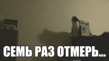 klyuchkovskiy  GIF