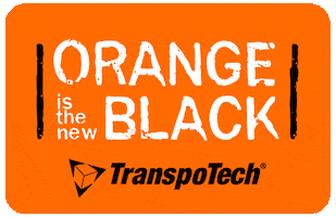 Netflix Orange GIF by TranspoTech