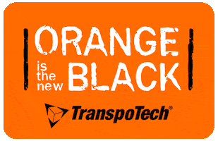 Netflix Orange GIF by TranspoTech