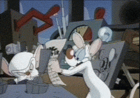 pinky and the brain hit GIF