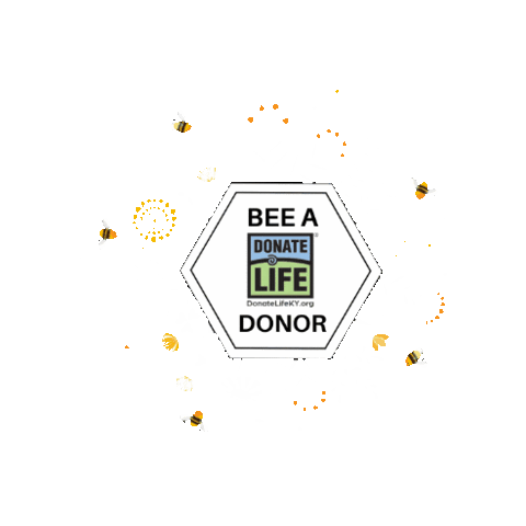 Donate Life KY Sticker
