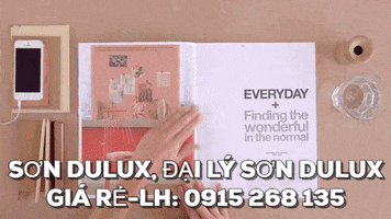huyennguyen-347e dai ly son dulux dai ly son dulux gia re son dulux cao cap son dulux gia re GIF