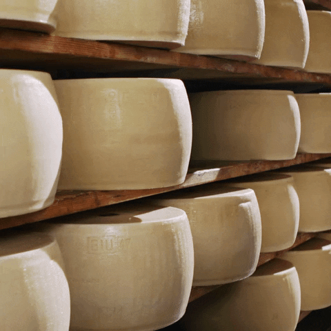 Cheese Milk GIF by Parmigiano Reggiano