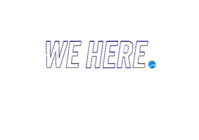 Wehere Basketballbond GIF by NBB