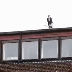 Fall Bike GIF