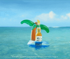 Floating Palm Tree GIF by Corona USA