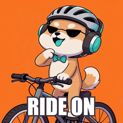 You Got This Shiba Inu GIF by WUFFI