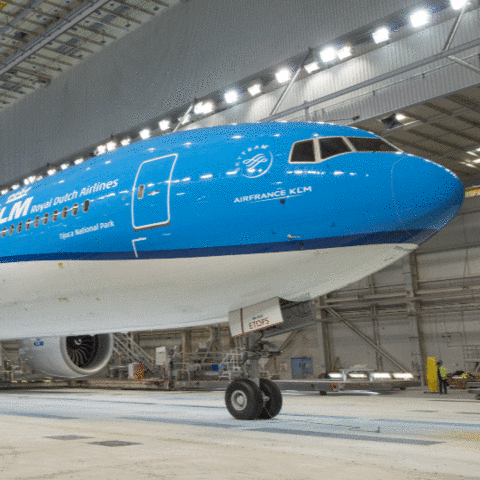 You Got This Royal Dutch Airlines GIF by KLM