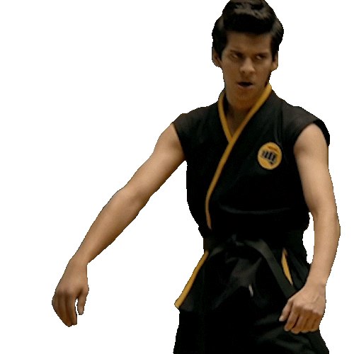 No Mercy Fight Sticker by Cobra Kai for iOS & Android | GIPHY No Mercy Fight Sticker by Cobra Kai for iOS & Android | GIPHY