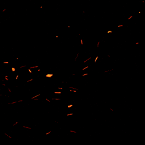 desaru bike week GIF