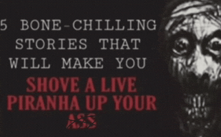 Chilling Scary Stories GIF