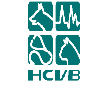 hcvb Sticker