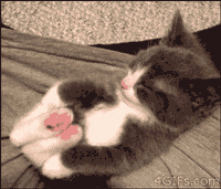 Chat Gif Find Share On Giphy Chat Gif Find Share On Giphy