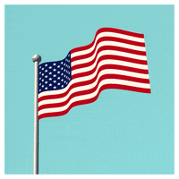 American Flag Wave GIF by JOSH HILL