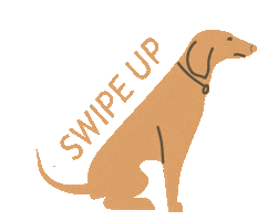 Swipe Up Good Boy Sticker by The Commons