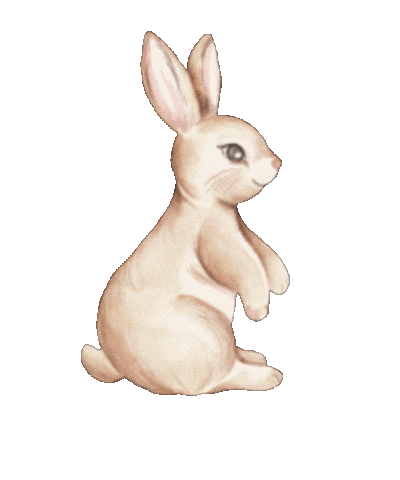 Illustration Sticker Sticker