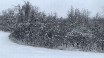 Snow GIF