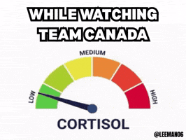 Team Canada GIF