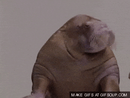 200.gif?cid=f0bdee70ixgu967me3tb810juub1axnf9xiwctdv6nv6c3mv&rid=200.gif&ct=g